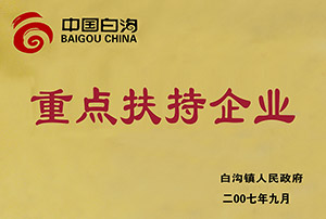 2007年中国白沟重点扶持企业